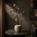 Handcrafted Christ’s Thorn Decorative Tree