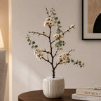 Handcrafted Christ’s Thorn Decorative Tree