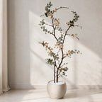 Handcrafted Christ’s Thorn Decorative Tree